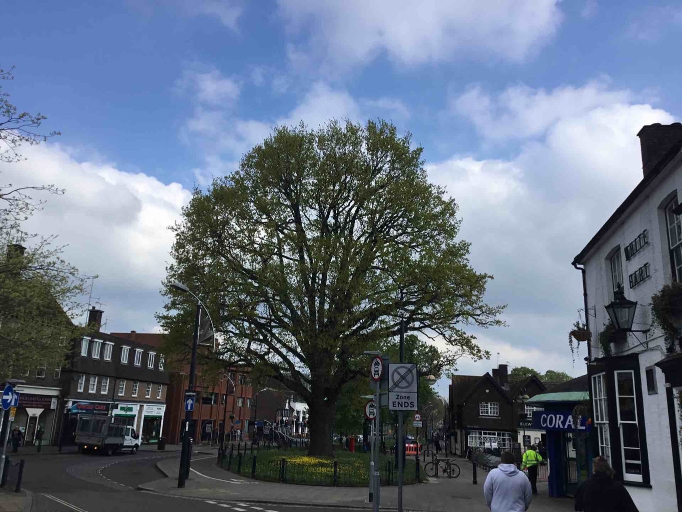 Crawley's 'Jubilee Oak' to receive health check ahead of Queen's